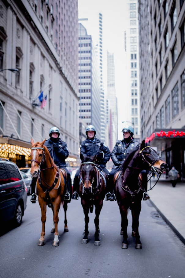 image of three mounted police officers riding down the street in a large city