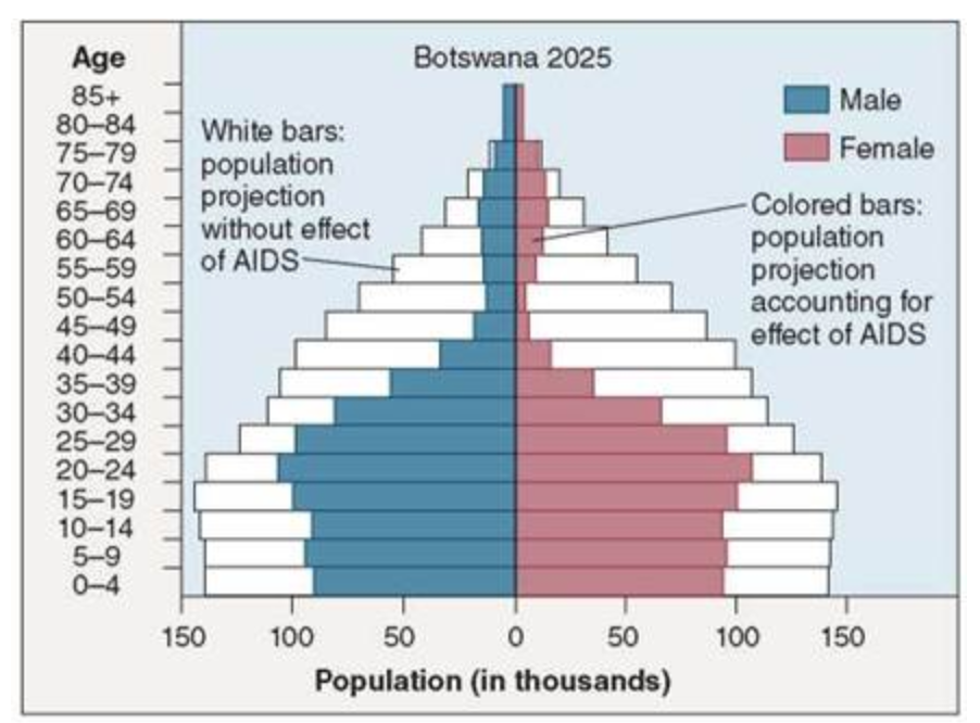 Graphic of population pyramid for Botswana, showing a stage 3 pyramid, but one that is decimated by HIV/AIDS.